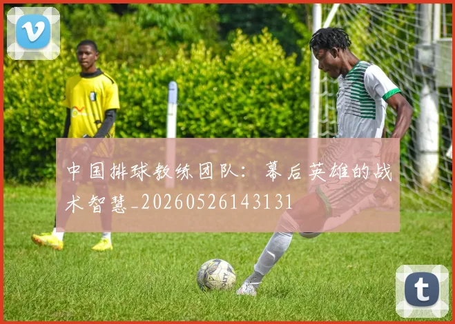 中国排球教练团队：幕后英雄的战术智慧_20260526143131